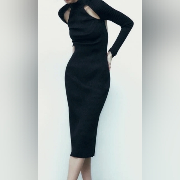 Zara Dresses & Skirts - Zara Black Ribbed Long-Sleeve Cutout-Back Dress -NWT